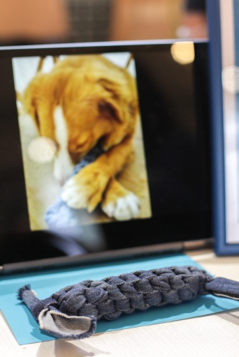 Mārtiņdienas tirdziņš