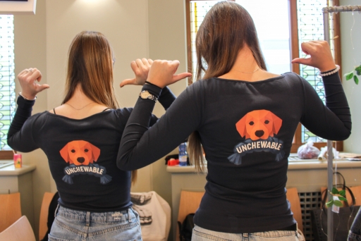 Mārtiņdienas tirdziņš