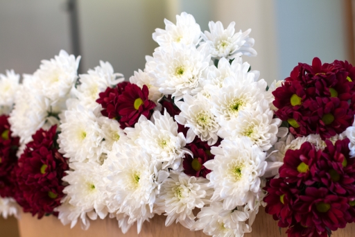 Latvijas Republikas Proklamēšanas dienai veltītie svinīgie pasākumi