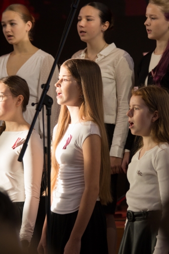 Latvijas Republikas Proklamēšanas dienai veltītie svinīgie pasākumi