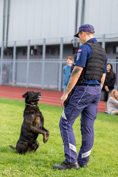 Skolā ciemojas Valsts policijas un Valsts policijas koledžas gudrie suņi