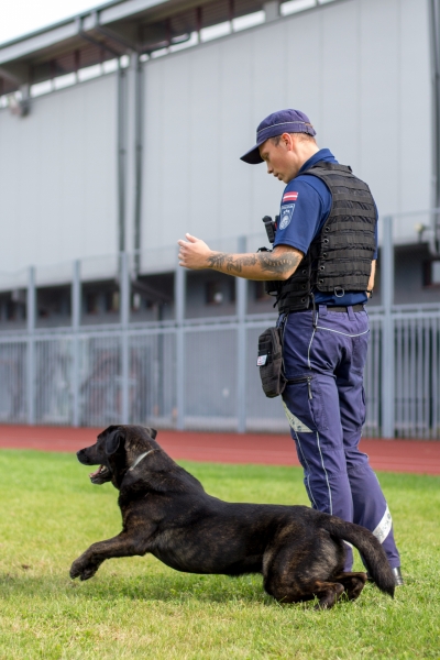 Skolā ciemojas Valsts policijas un Valsts policijas koledžas gudrie suņi