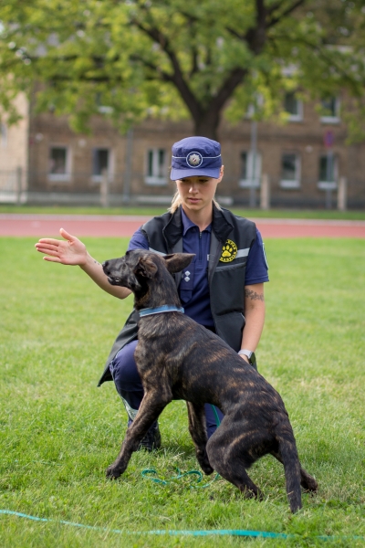 Skolā ciemojas Valsts policijas un Valsts policijas koledžas gudrie suņi