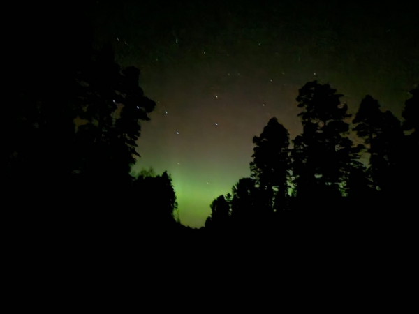 Rudens nometne Būriņu mežā