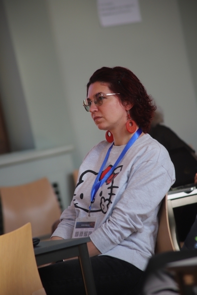 Baltijas un Ziemeļvalstu konference