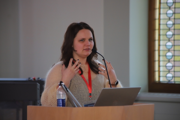 Baltijas un Ziemeļvalstu konference