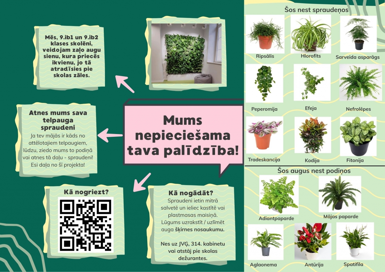 Dāvini zaļumu skolai