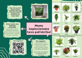 Dāvini zaļumu skolai