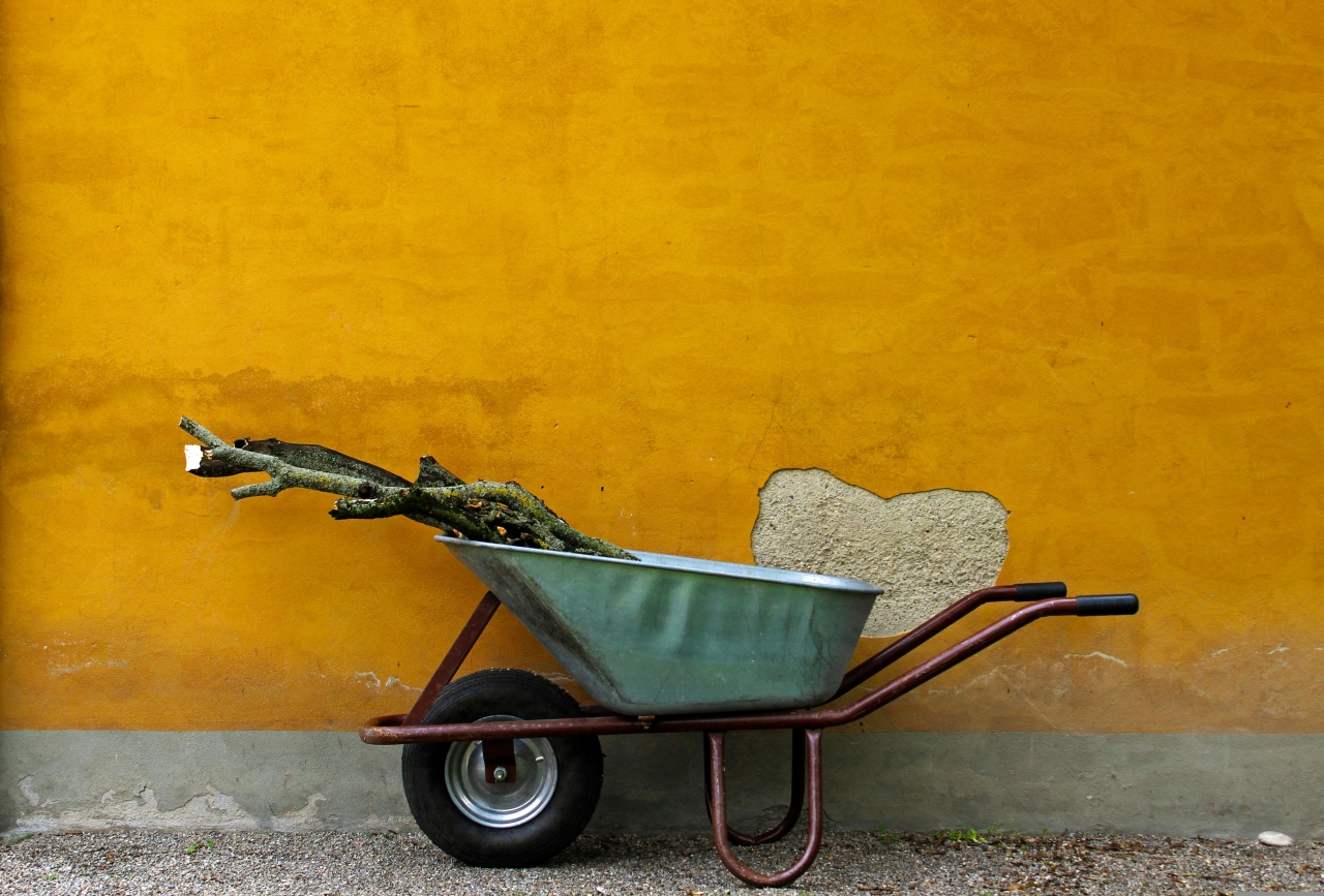 Izglītojamo nodarbinātība vasaras brīvlaikā